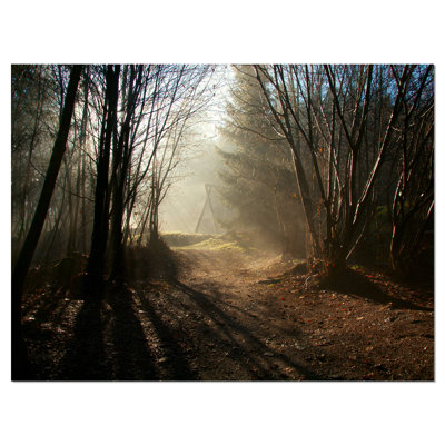 " Dark Path In Fall Foggy Forest "
