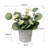 Gira Arrangement in Pot