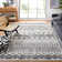 Sturdevant Performance Southwestern Rug