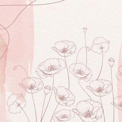 Soft Blush Watercolor Poppy Flower Wallpaper Mural – Elegant Line Art Floral Design For Living Room, Bedroom & Modern Home Decor