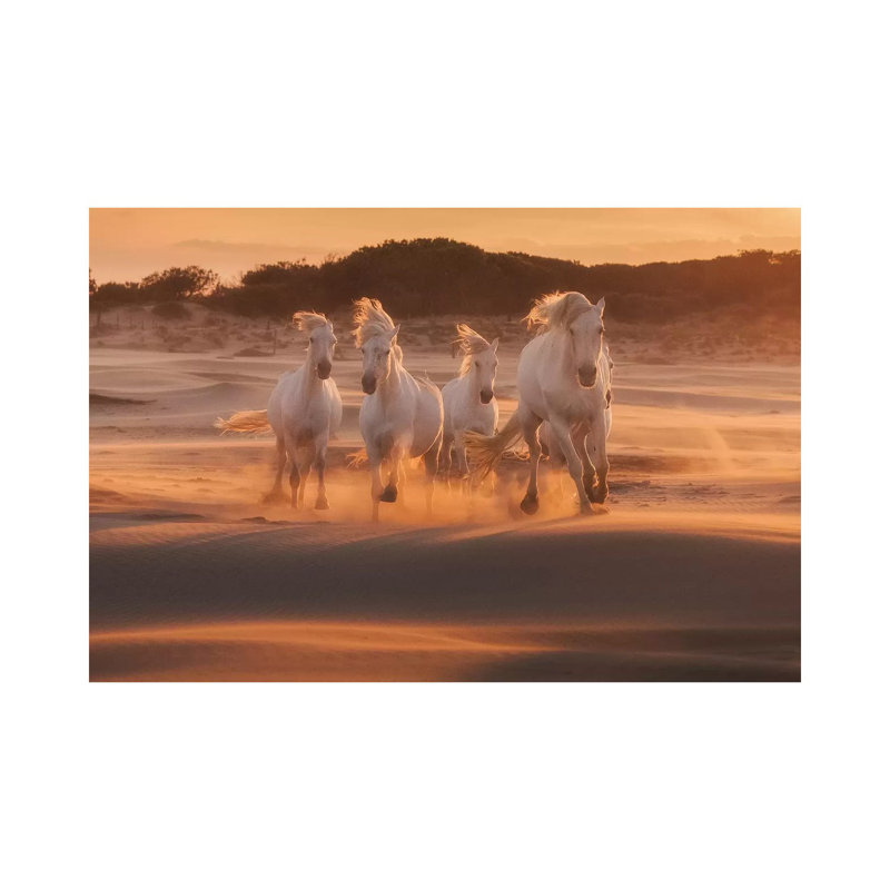 White Angels Of Camargue XLIV by Daniel Kordan - Wrapped Canvas Gallery-Wrapped Canvas Giclée, 20.32 cm H x 30.48 cm W