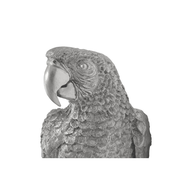 Animals Parrot Wall Décor
