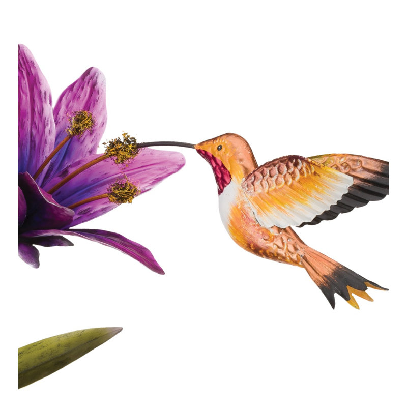 44 po. Colibri 44 po