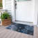 Fayme Indoor / Outdoor Rug