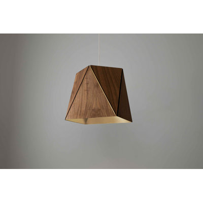 Luminaire suspendu géométrique unique à 1 lumière avec accents en bois Calx