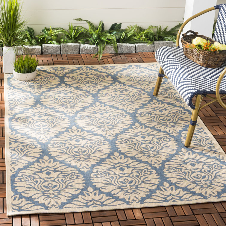 Kitt Paisley Hand Woven Indoor / Outdoor Area Rug