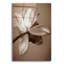 Art épique «Moonlight Tulip» par Rebecca Swanson, Ac «Moonlight Tulip» par Rebecca Swanson