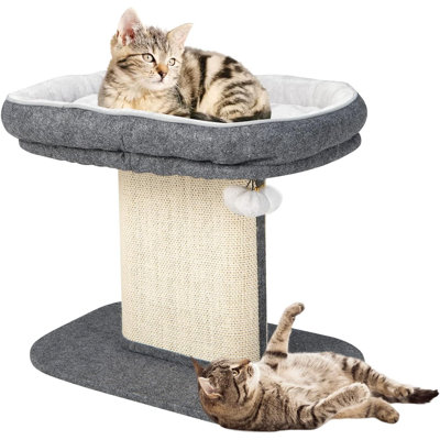 Taylorsville Cat Perch