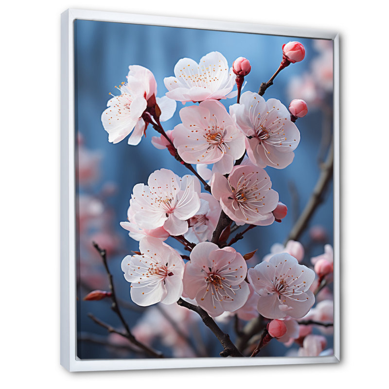 «Flowers Pastel Blossoms II - Apple Blossom», reproduction d'art, Cadre flottant blanc, H 32 po x l 24 po x P 1 po