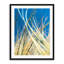 Dune Grasses Print by Petra Trimmel-65795292-132455018