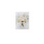 Bouquet de fleurs Coquette rose avec fleurs sauvages et cadre en bois massif