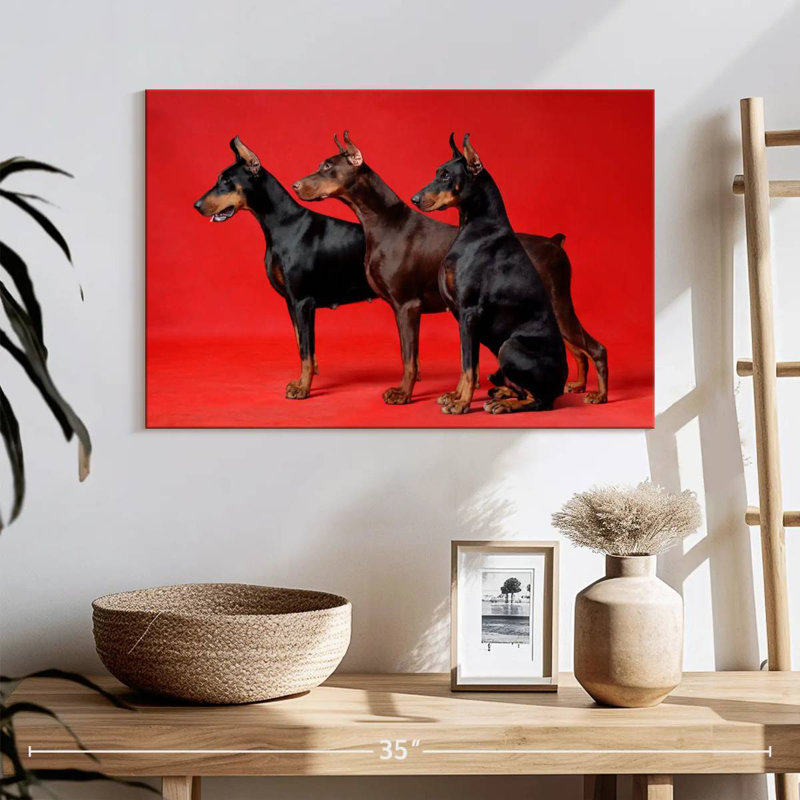 Doberman Trio, H 16 po x l 24 po
