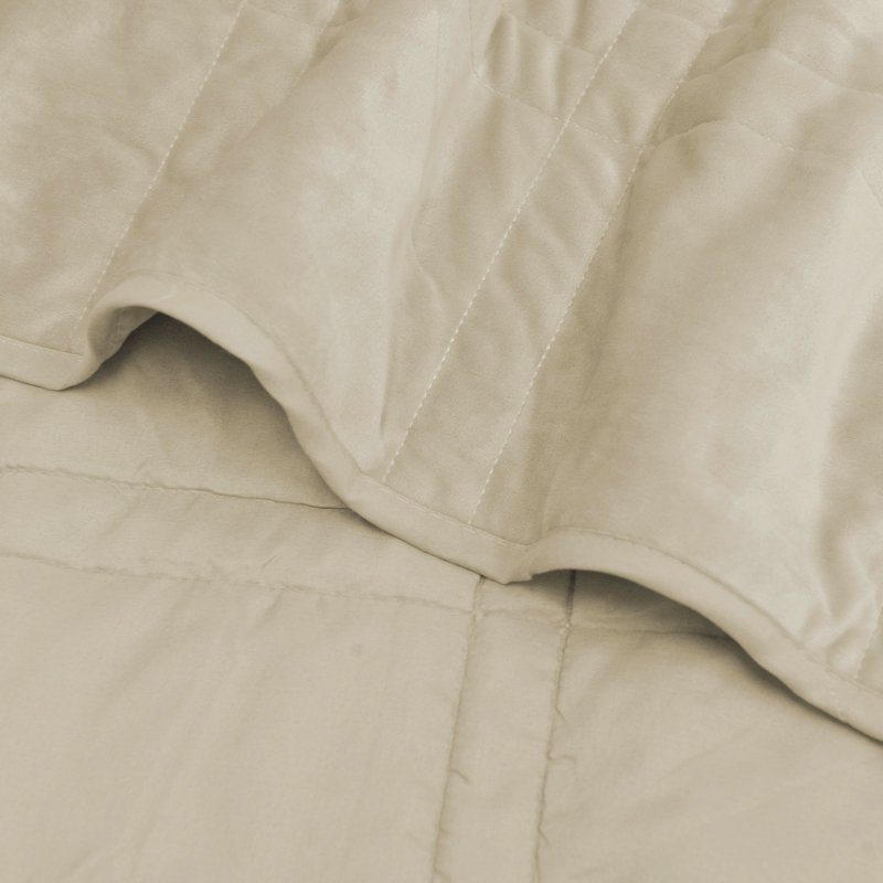 Ensemble de micro-visière 3 pièces, Gruau