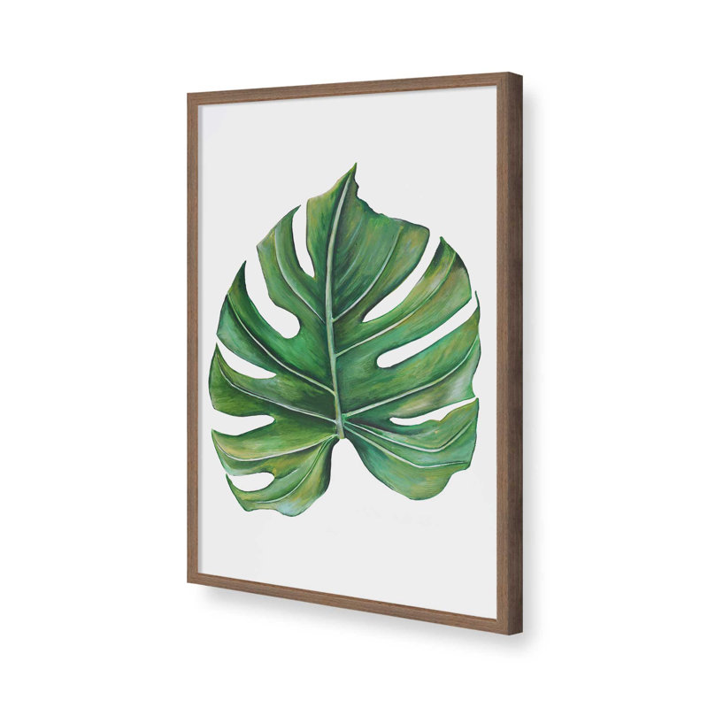 Étude Monstera Émeraude par Dollybirds, estampe, H 25 po x l 19 po, Reproduction avec cadre en noyer