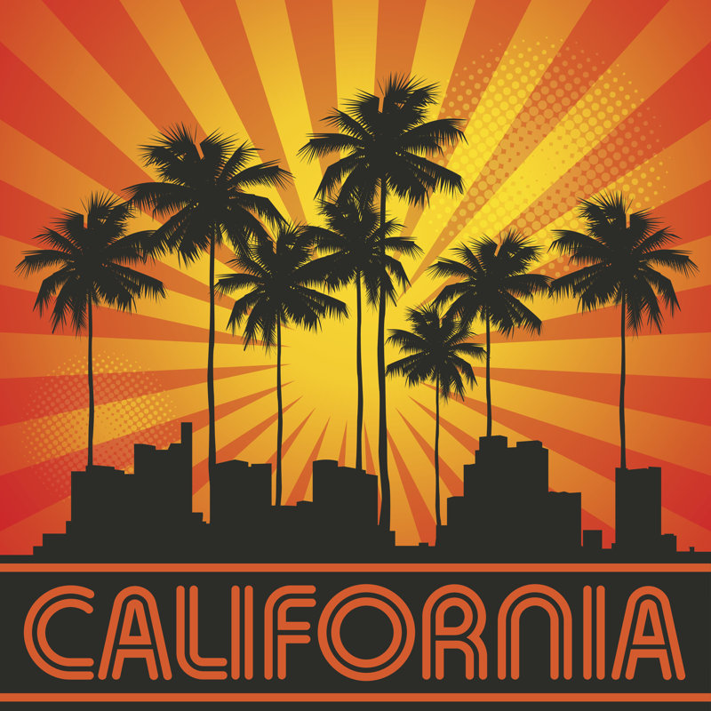 California Vector Illustration by Flavijus - Wrapped Canvas Print, 91cm H x 91cm W