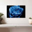 Harnek Misty Blue Rose-108726336