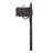Hummingbird Aluminum Post Mounted Mailbox with Magnetic Closure