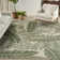 Analleli Indoor/Outdoor Area Rug