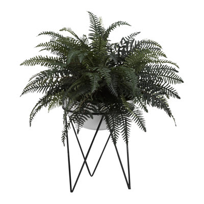 Plante pour fleuve river