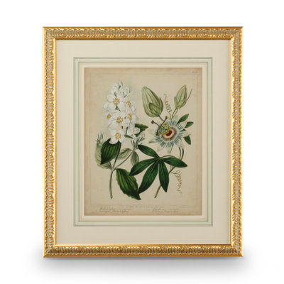 Cottage Florals II Framed Print
