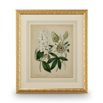 Cottage Florals II Print
