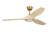 Selen Smart LED Ceiling Fan-1611855335-1611855339-1611855336