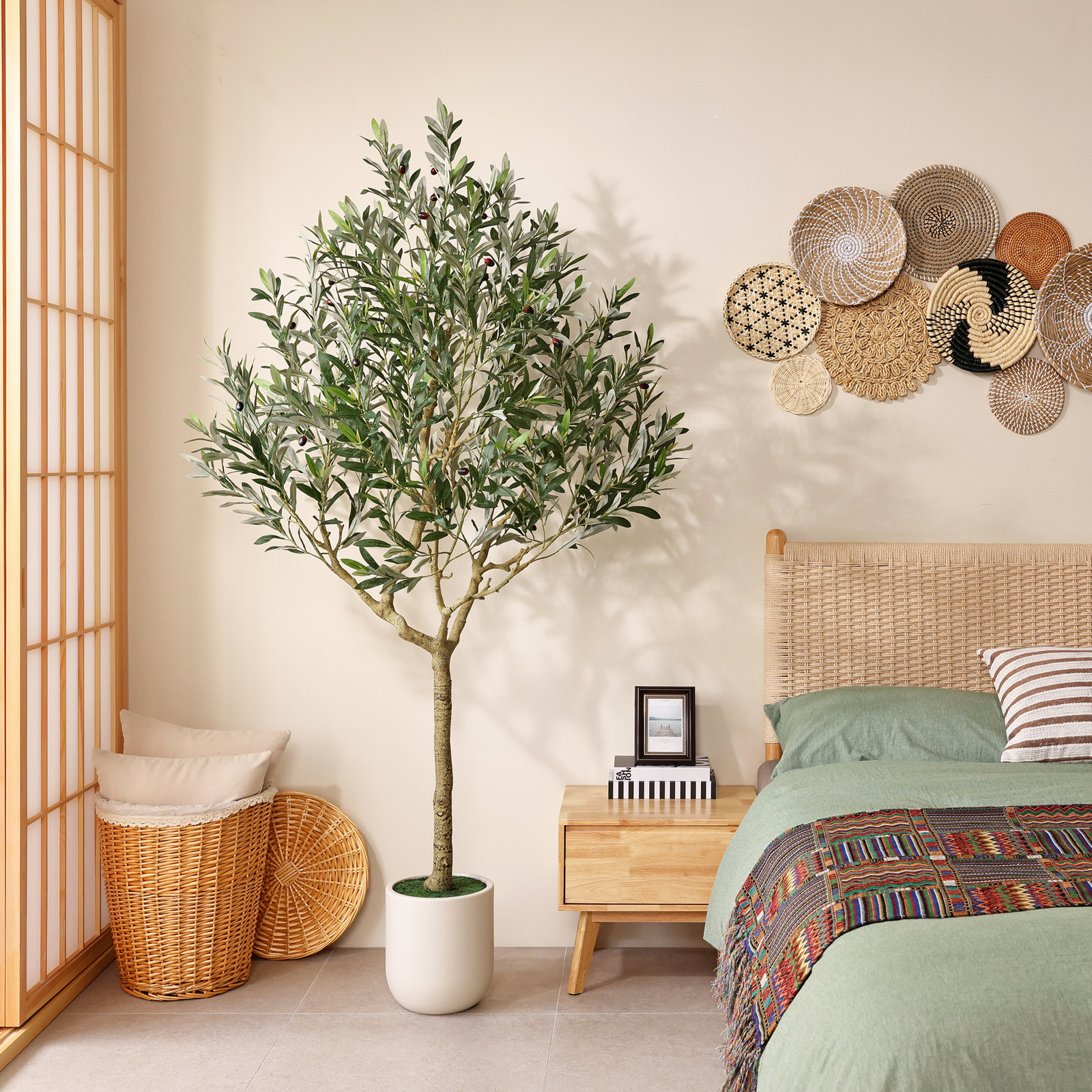 Ashwell Olive Plant in Pot, 86" H x 47" W x 47" D