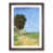 Walnut Framed selected