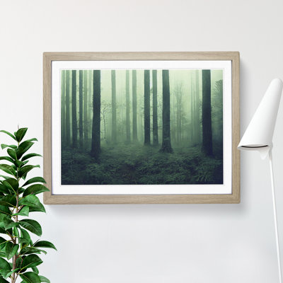 Dazzling Forest - Framed Print