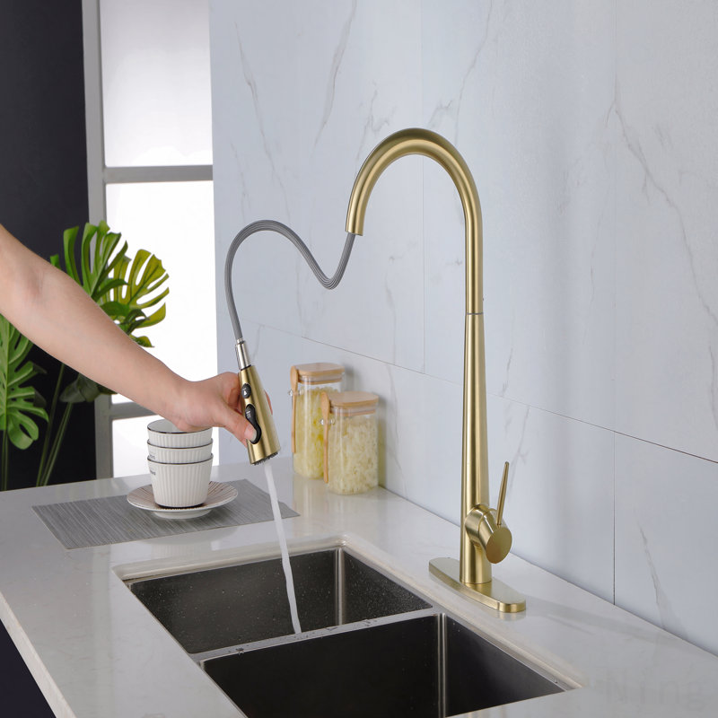 Robinet d'évier de cuisine à poignée simple en acier inoxydable avec douchette extractible