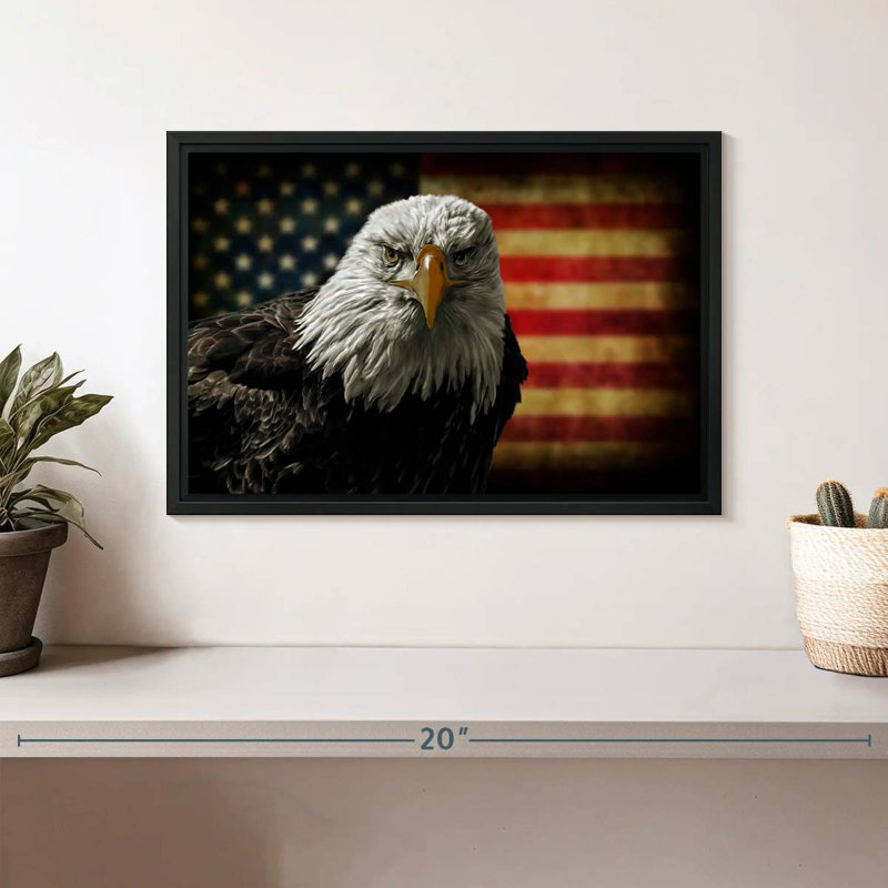 Aigle et drapeau de l'Amérique, Cadre flottant noir, 13 po x 9 po