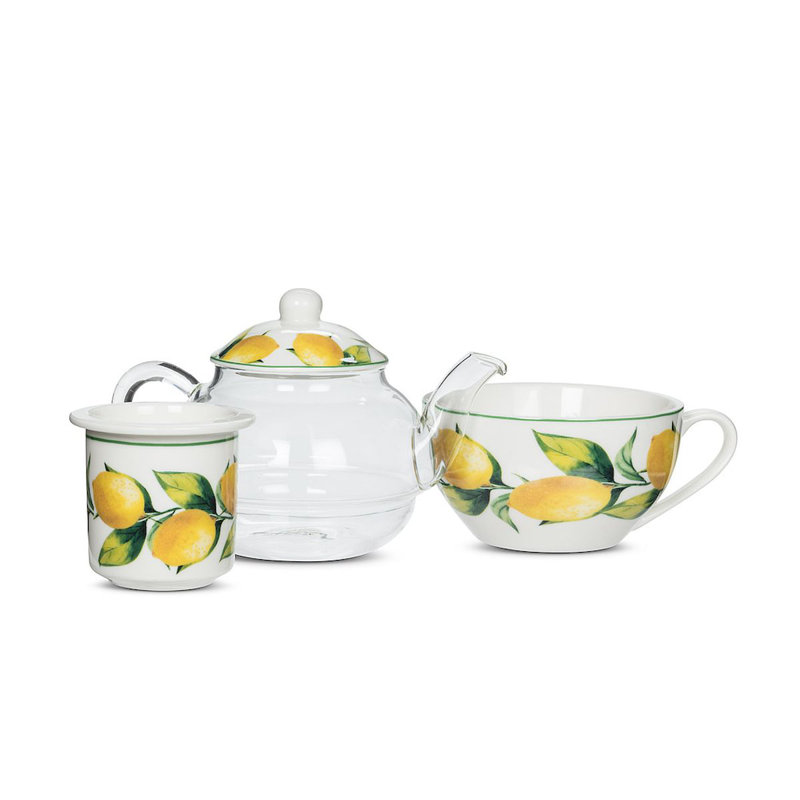 Bayou Breeze Cabello 12oz. No Pattern Teapot