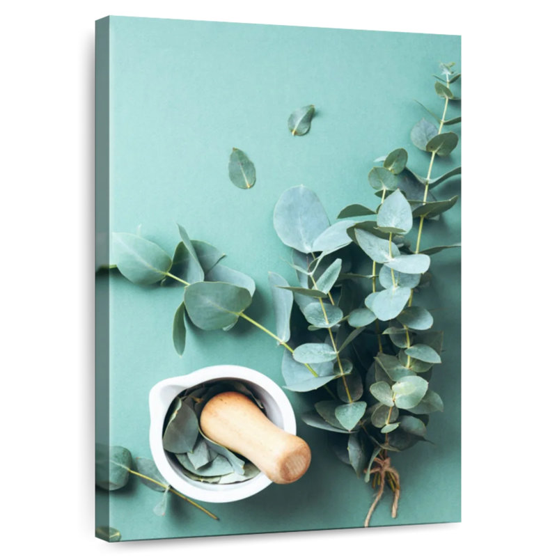 Harnek Herbal Eucalyptus Leaves, 24" H x 16" W
