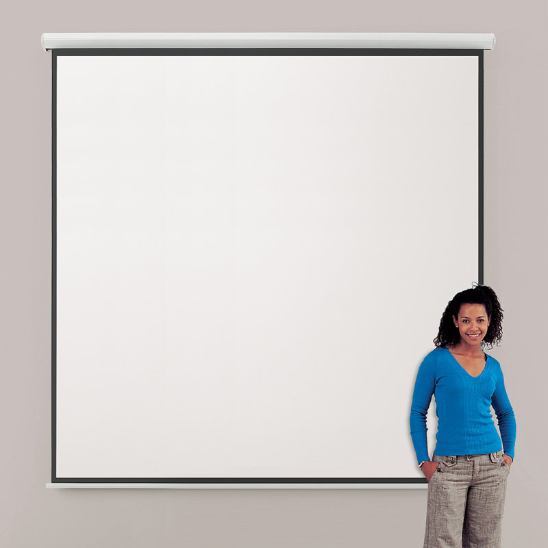 Symple Stuff Electric Projector Screen Projector Screen, 240cm H x 240cm W - Square 1:1