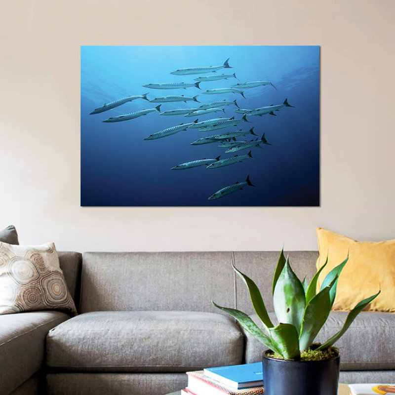 « barracudas », impression sur toile, H 18 po x l 26 po x P 1,5 po, Toile tendue, Pas de tapis