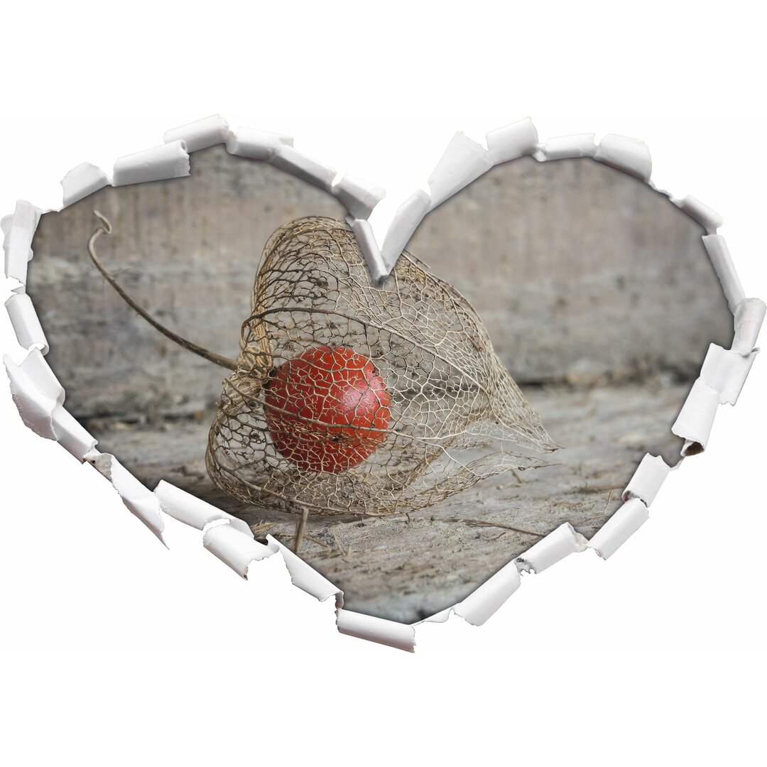 Wandtattoo Physalis