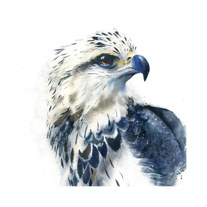 Hawk 1 Piece Wrapped Canvas Wall Art, 93.98cm H x 93.98cm W