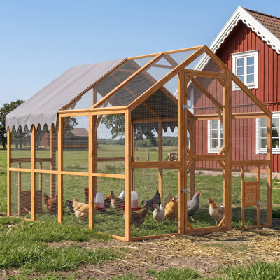 Grand poulailler extérieur en bois 110 po