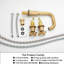2-handle Bathroom Faucet with Drain Assembly-81641109