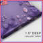 Purple Floral Border Canvas Gallery Wrap in Many Sizes-237755980