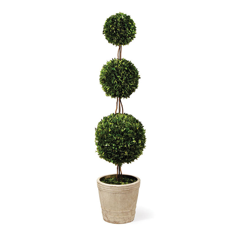 Swader 59 " H Faux Boxwood Topiary in Ceramic Pot