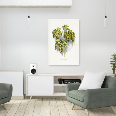 «Abutilon Thompsoni Leaf Illustration Abstract Retro Vintage Flower Landscape», art mural