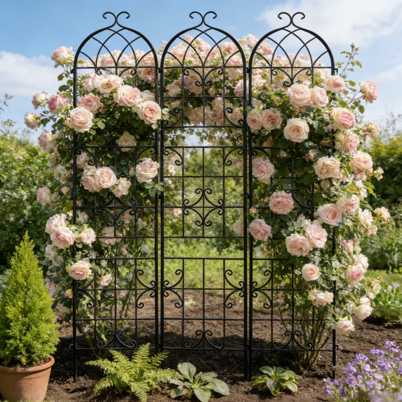 220cm H x 148cm W Iron Arched Trellis