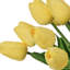 Ensemble de tulipes 13 po Eva-739757620