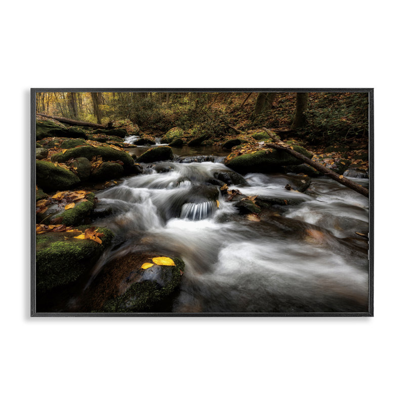 «Fallen Leaves on Stream», estampe numérique, design par D. Burt, H 12 po x l 18 po, Giclée encadrée noir minuit