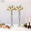 Toiles de fond et enseignes-97872270-97872271