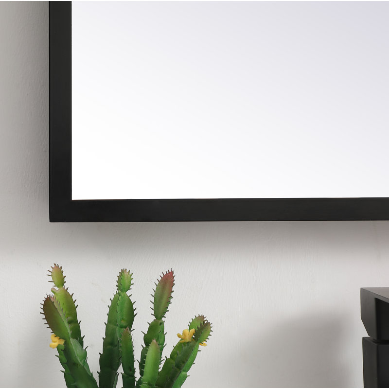 Piche Aluminium Mirror, Black, 18" x 36"