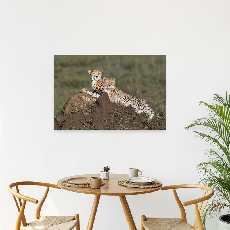 African Cheetah Family Contemporary Wall Art Print by Jeffrey C. Sink - 1 Piece Wrapped Canvas Wall Art