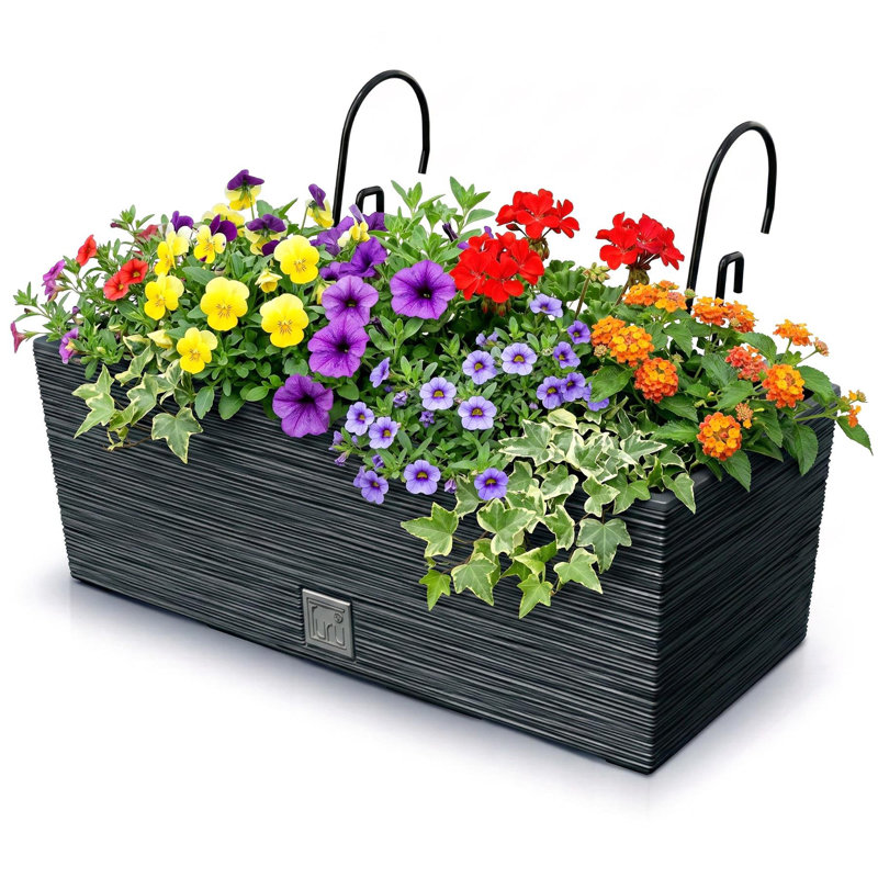 Hanging Planter