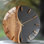 Horloge murale 12 po ronde en verre trempé avec mouvement à quartz silencieux